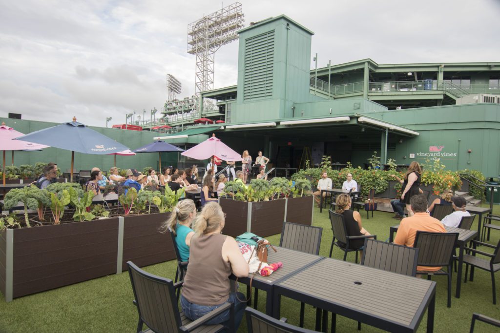 Baseball and Rooftop Farms A Tour of Fenway Park Built Environment Plus