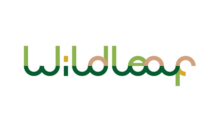 Wildleaf Wildleaf