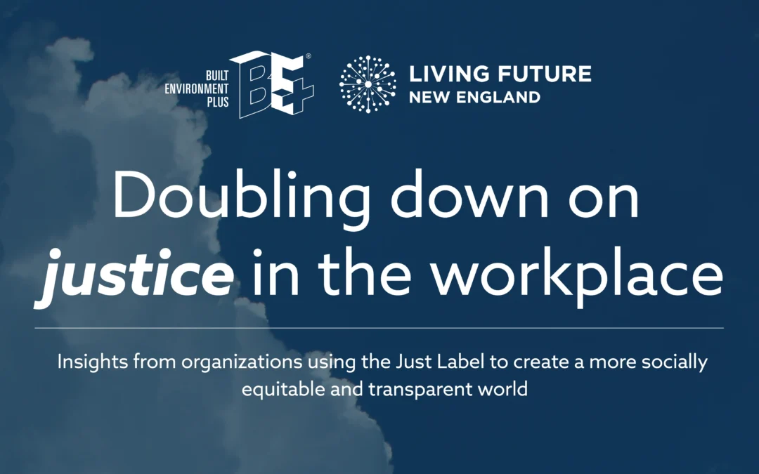 Doubling Down on Justice in the Workplace