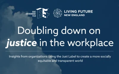 Doubling Down on Justice in the Workplace